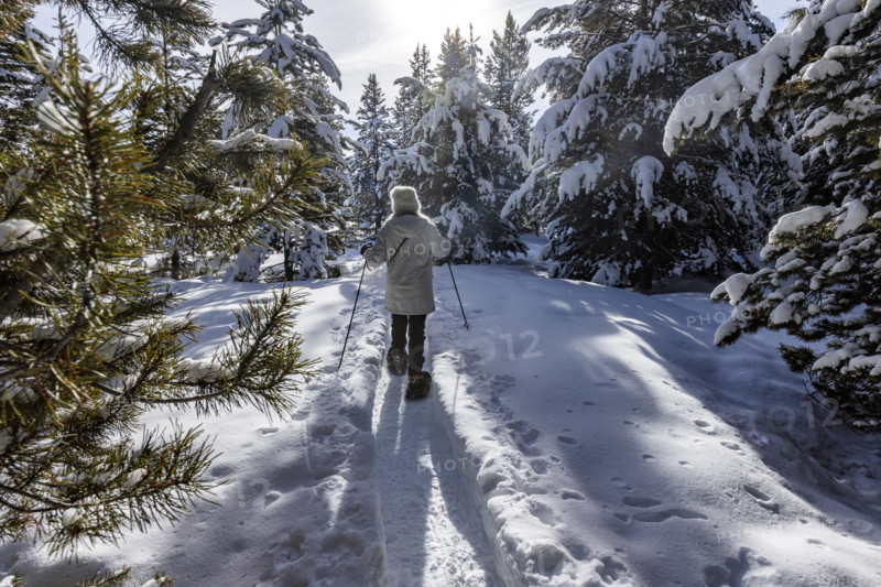 Rear view of woman snowshoeing in Winter landscape, Sun Valley, Idaho, USA.