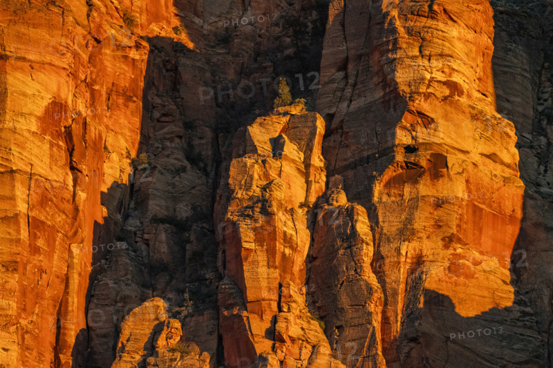 Close-up of sandstone cliffs at sunset, Zion National Park, Utah , USA.