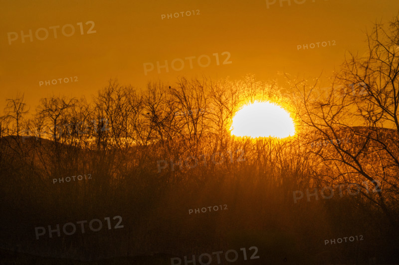 Sun setting over hills and trees, Bellevue, Idaho, USA.