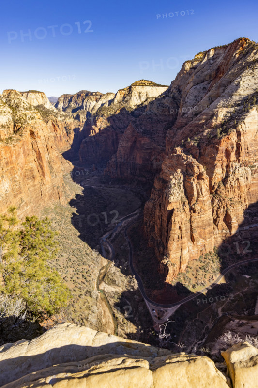 View of Zion Canyon from Angels Landing, Zion National Park, Utah, USA.