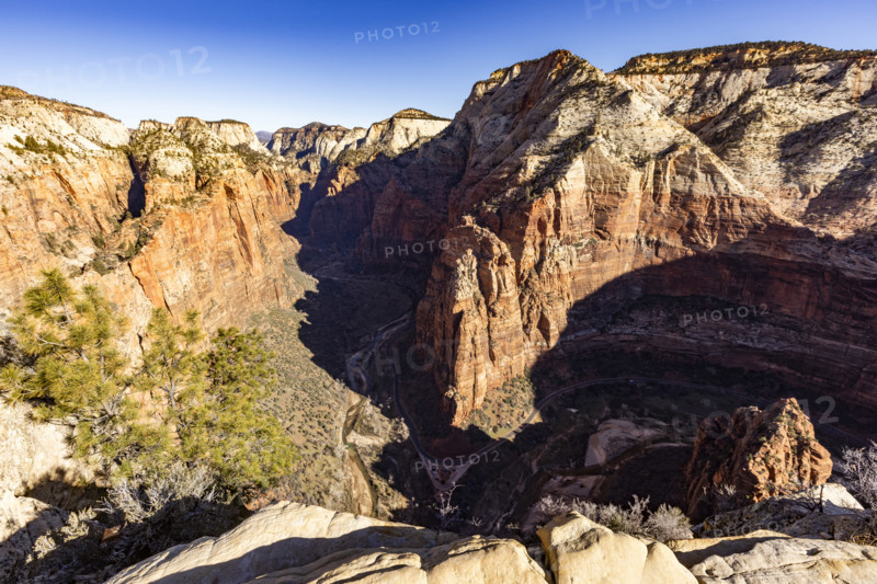 View of Zion Canyon from Angels Landing, Zion National Park, Utah, USA.