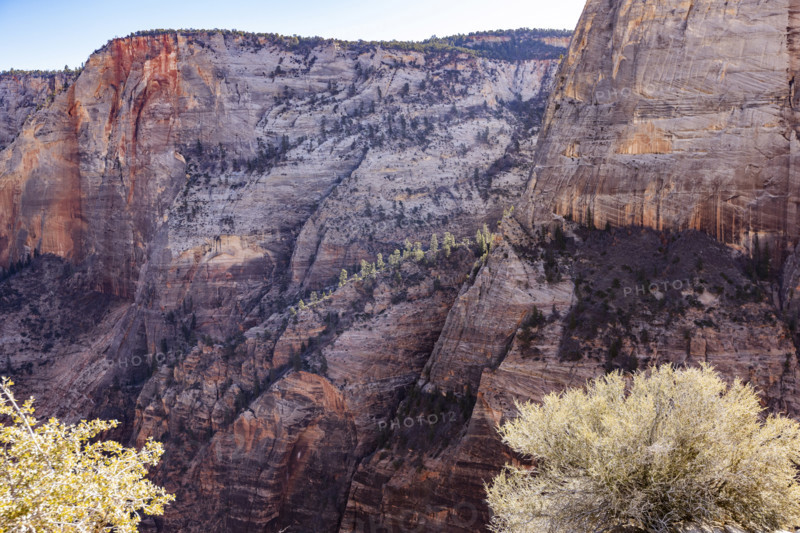 Cliffside view from Angels Landing, Zion National Park, Utah, USA.