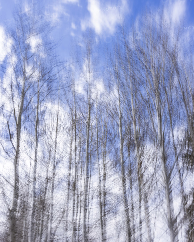 Trees against sky with clouds, blurred motion, Bellevue, Idaho, USA.
