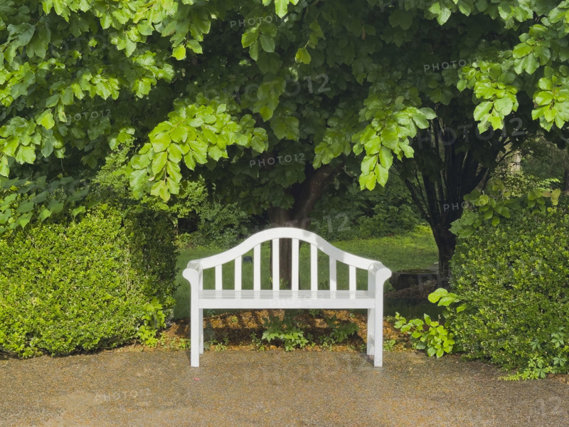 Empty white park bench and trees, Nashville, Tennessee, USA.