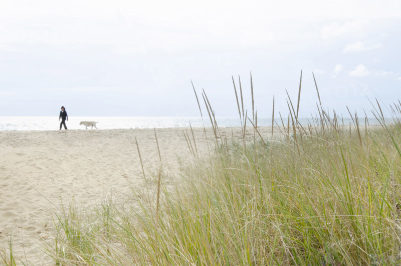 Woman and her dog walking on beach, Nantucket, Massachusetts, USA.