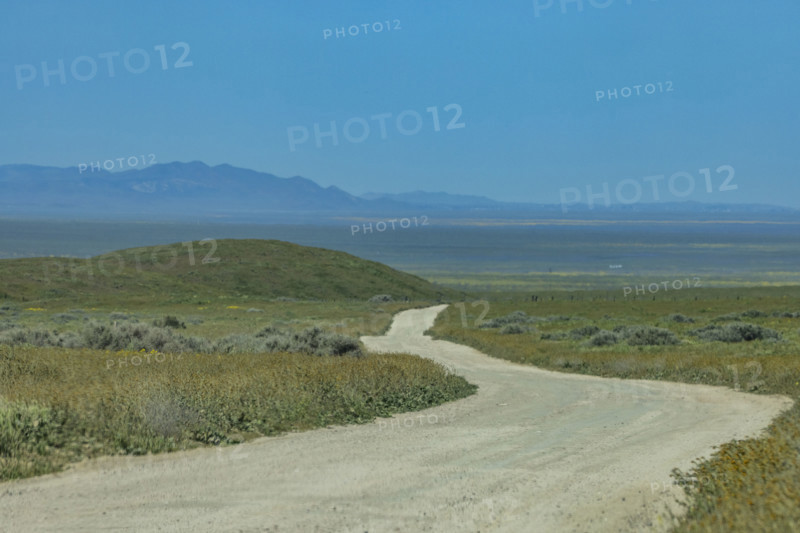 Empty dirt road crossing Carrizo Plain