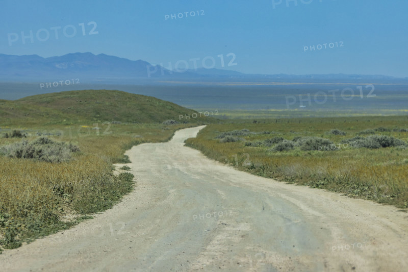 Empty dirt road crossing Carrizo Plain