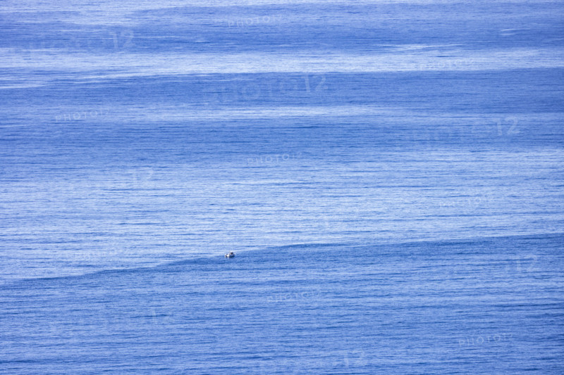 Calm blue Pacific Ocean surface