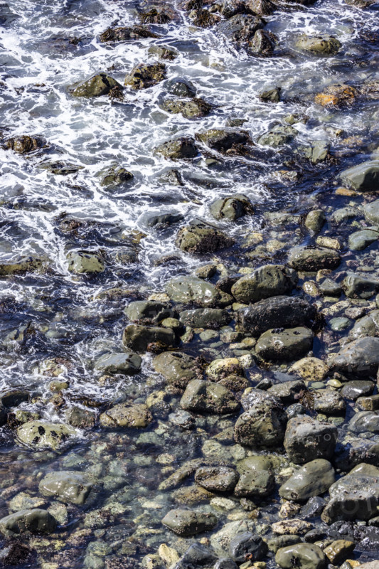 Close-up of wet coastal rocks