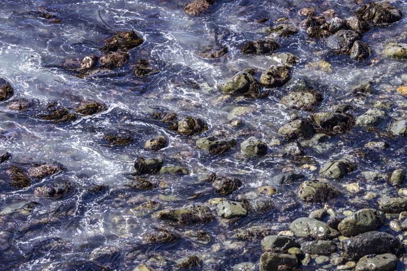 Close-up of wet coastal rocks