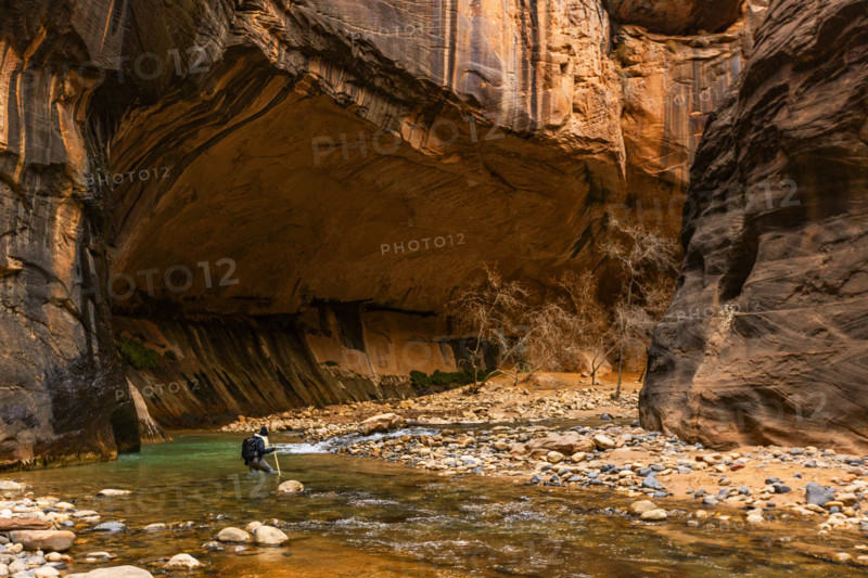 Woman wading The Narrows of Virgin River