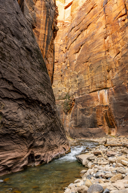 The Narrows section of Virgin River