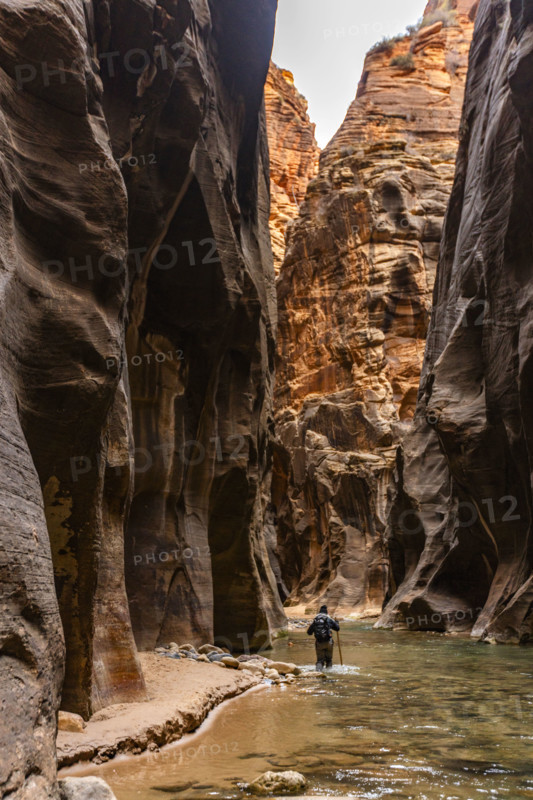 Rear view of woman wading The Narrows of Virgin River