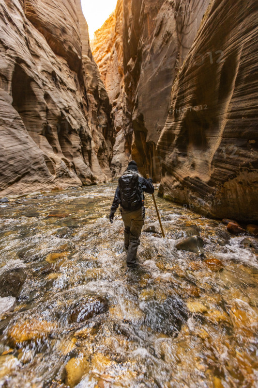 Rear view of woman hiking The Narrows of Virgin River