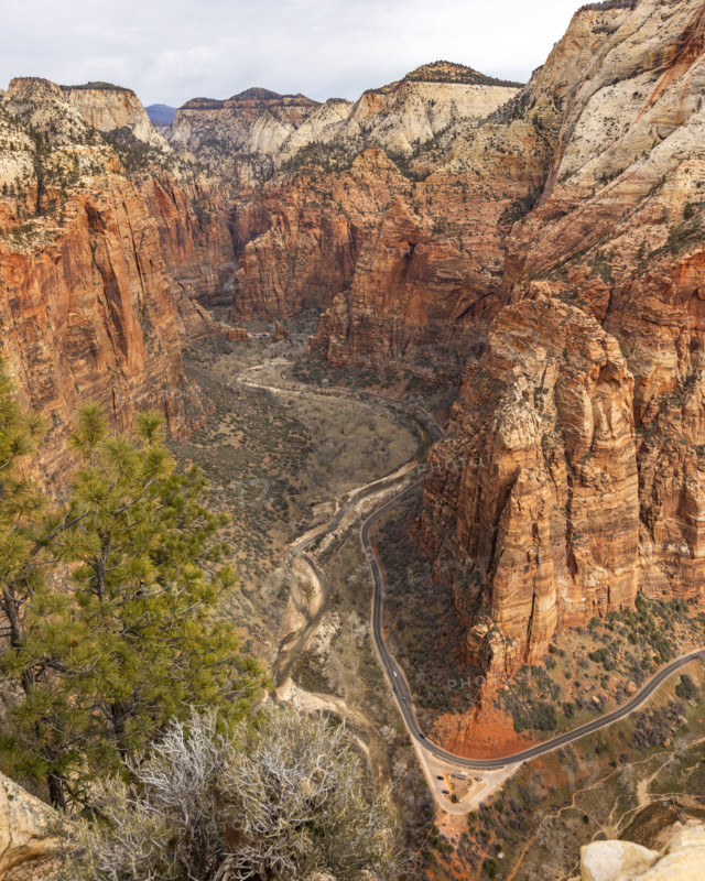 View into Zion Canyon from Angels Landing ascent