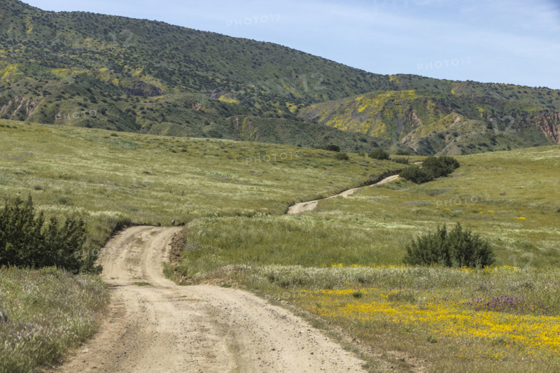 Dirt roads through Carrizo Plain