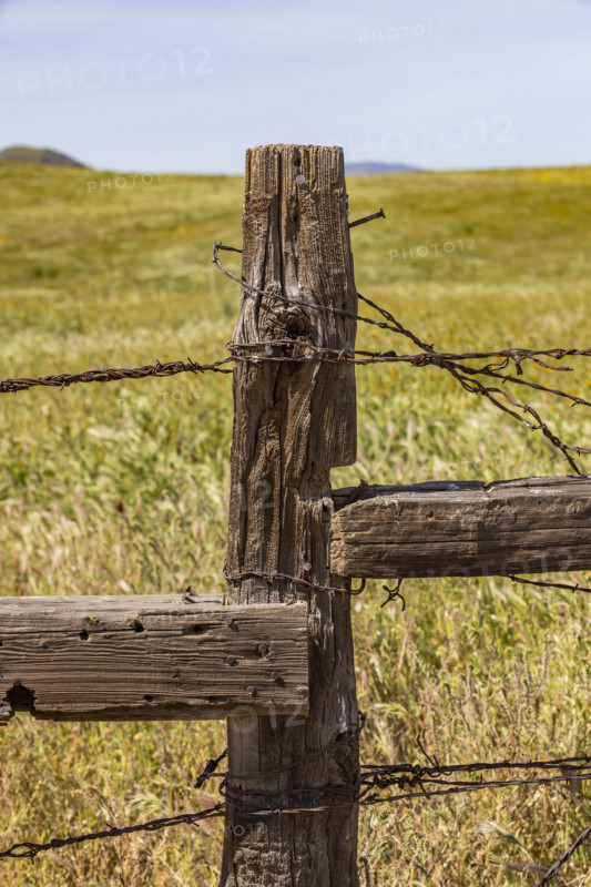 Close-up of rustic fence on Carrizo Plain