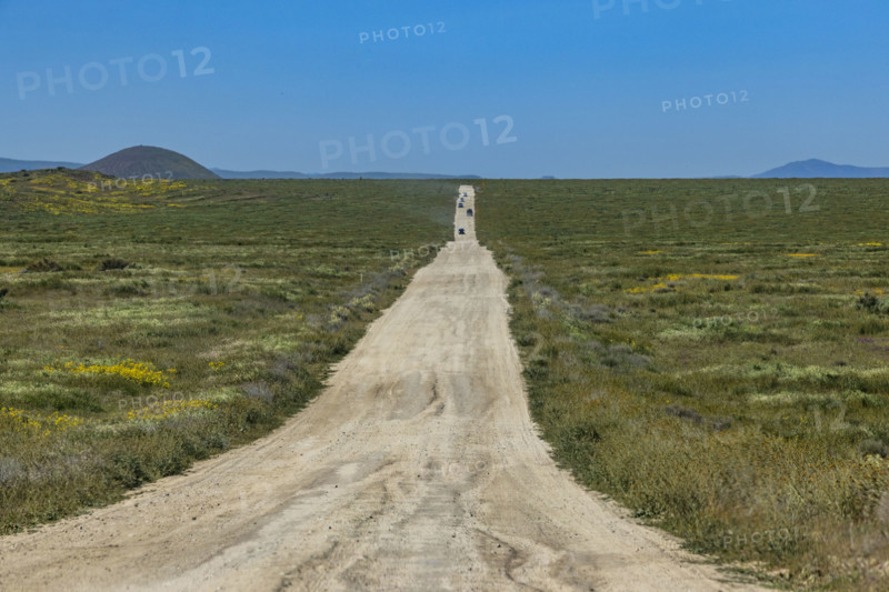 Dirt road crossing Carrizo Plain