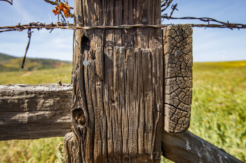 Close-up of rustic fence on Carrizo Plain