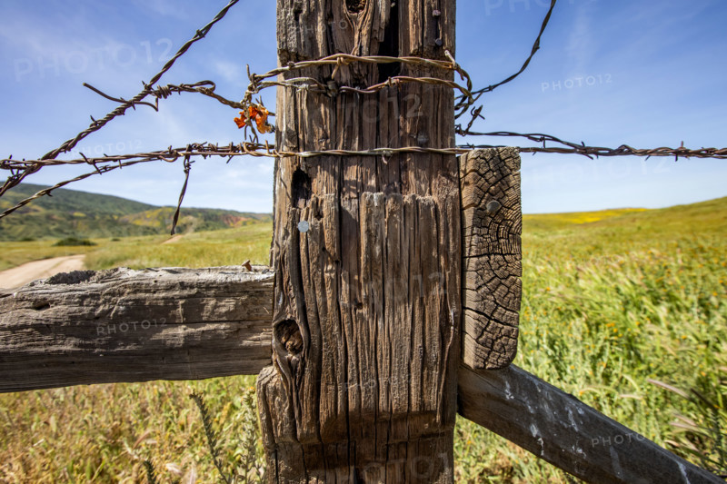 Close-up of rustic fence on Carrizo Plain