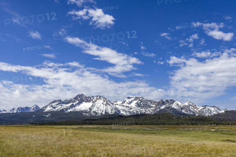 Snowcapped Sawtooth Mountains with grassy field in foreground