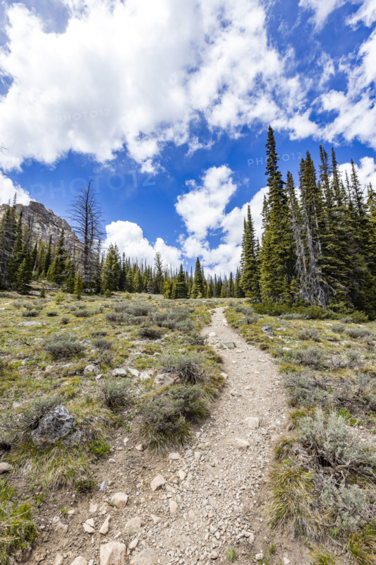 Empty hiking trail in Sun Valley