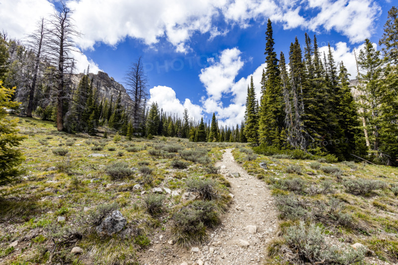 Empty hiking trail in Sun Valley