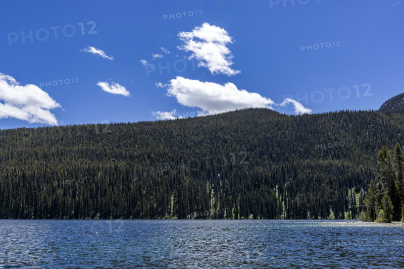 Cal Redfish Lake and green hills