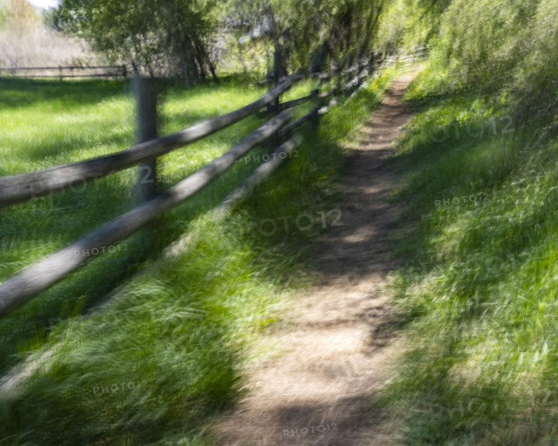 Rural walking path, motion blur