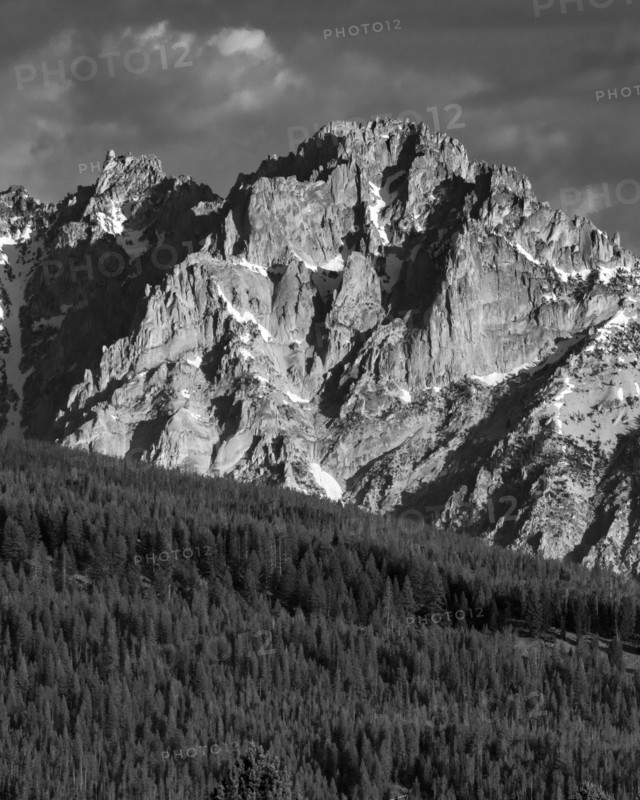 Sawtooth Mountains and forest, black and white