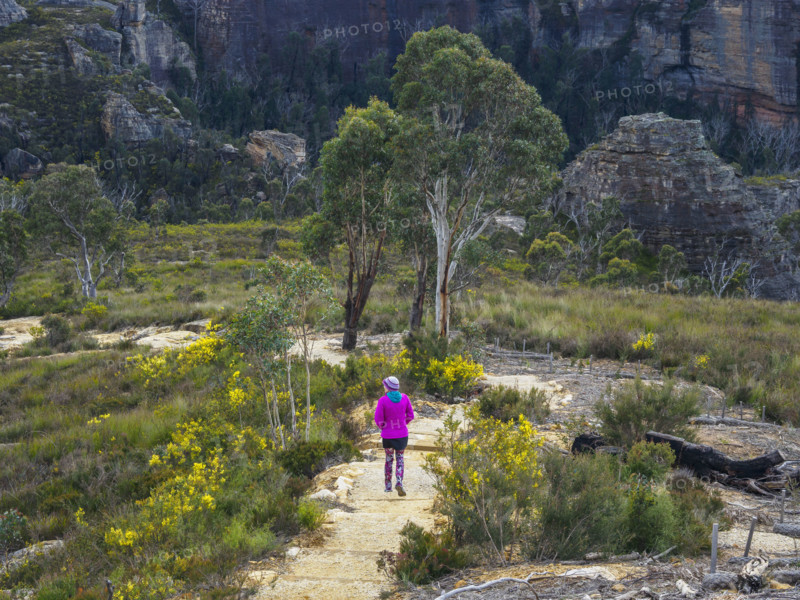 Rear view of woman hiking in landscape