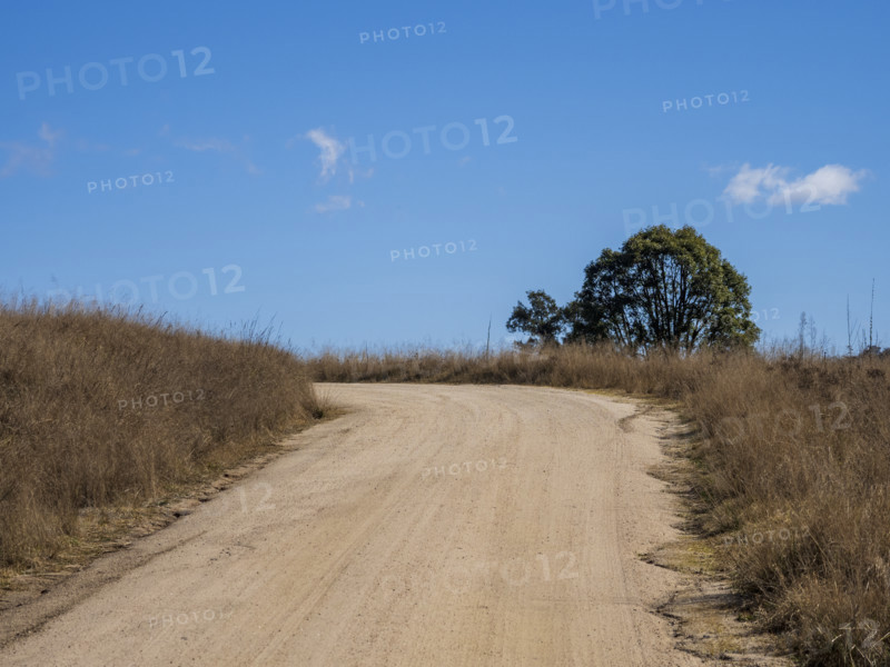 Empty dirt road in rural landscape