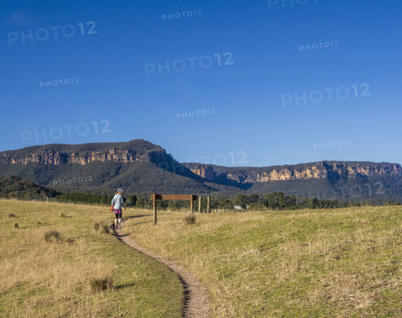 Rear view of woman hiking in grassy field