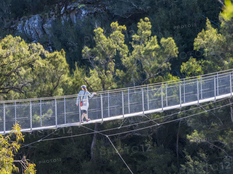 Hiker crossing suspension footbridge in landscape
