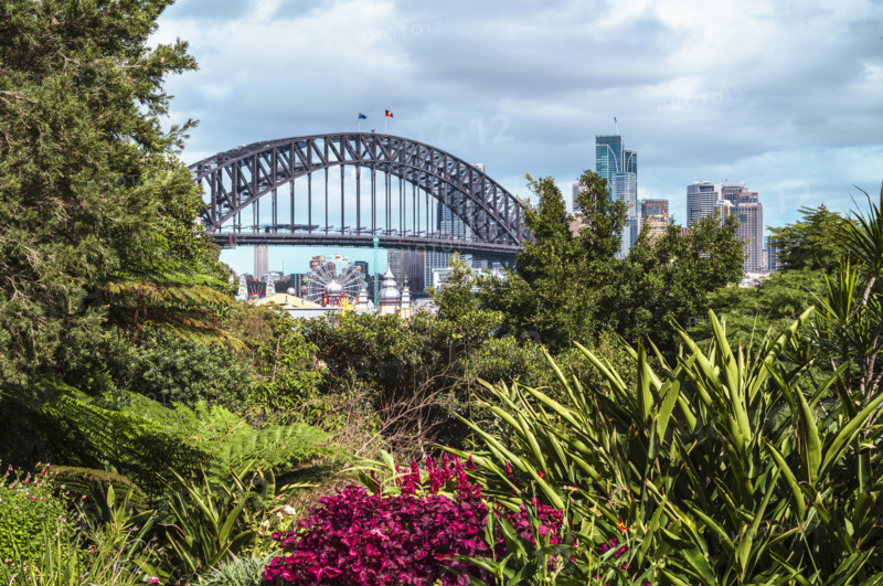 Sydney Harbour Bridge and Luna Park from Wendy Whiteley?s Secret Garden