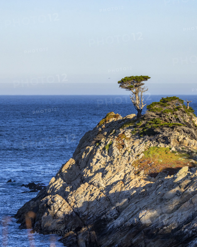 Rocky coast at Point Lobos State Natural Reserve