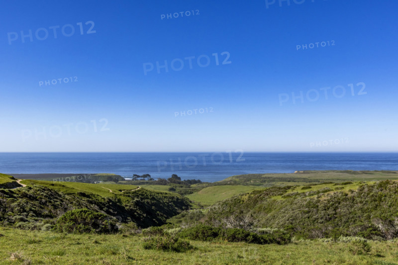 Green coast and calm sea