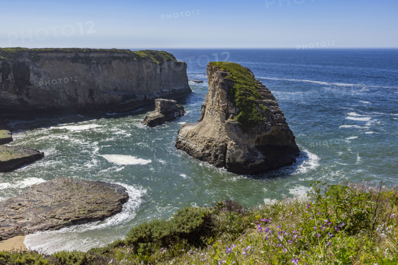 Shark Fin Cove on sunny day
