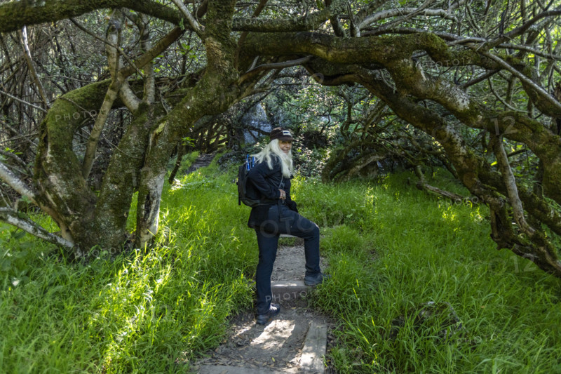 Portrait of smiling senior woman hiking at Dipsea Trail