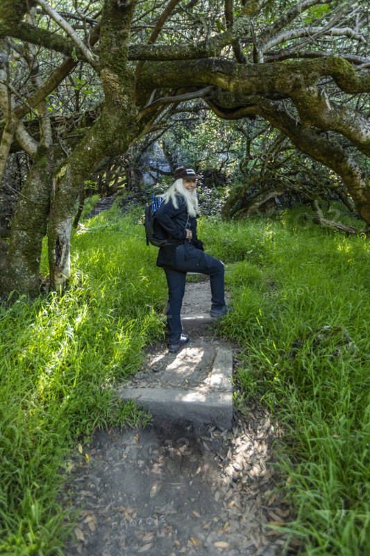 Portrait of smiling senior woman hiking at Dipsea Trail