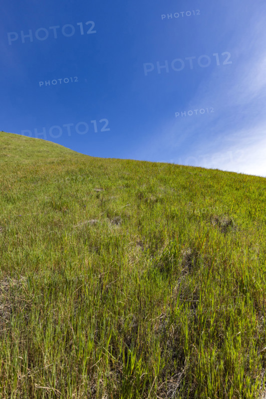 Green hill on sunny day at Dipsea Trail