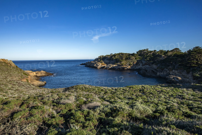 Rocky coast at Point Lobos State Natural Reserve
