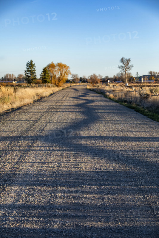 Shadow of fenceline on rural road