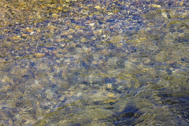 Close-up of pristine mountain creek water