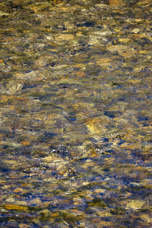 Close-up of pristine mountain creek water