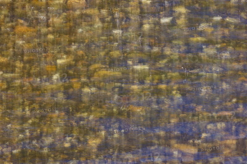 Close-up of pristine mountain creek water