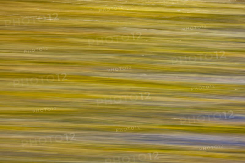 Close-up of pristine mountain creek water, motion blur