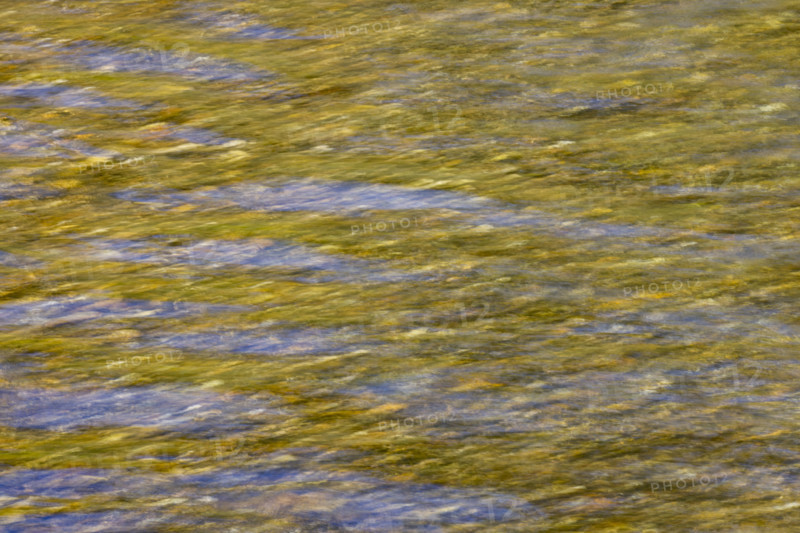 Close-up of pristine mountain creek water