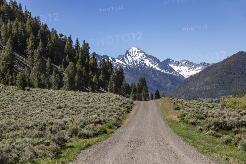 Empty dirt road to distant mountain