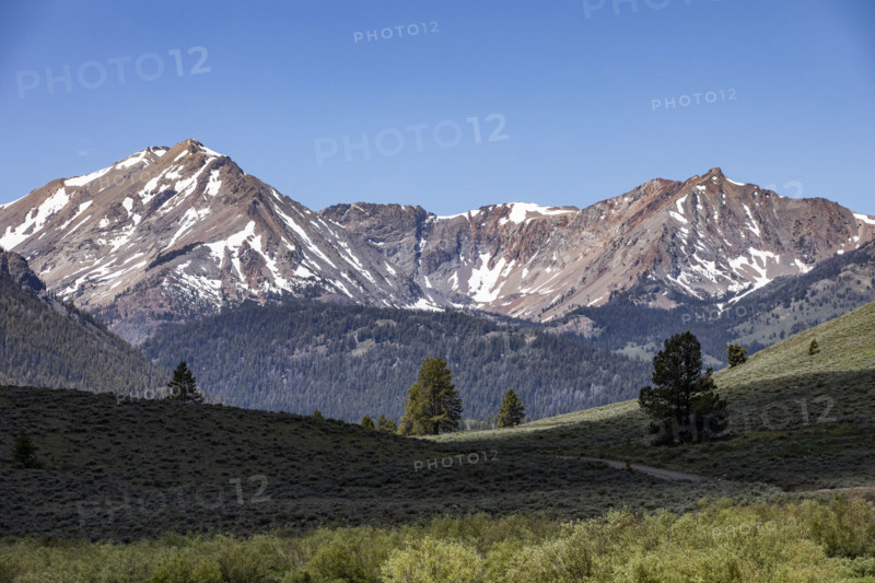 Green valley and mountains with snow